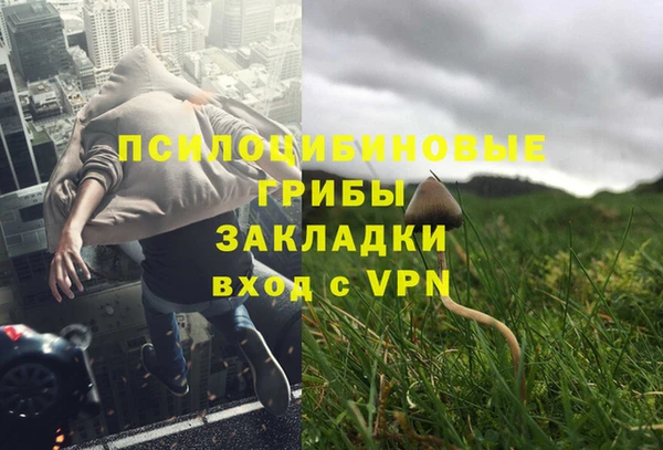 спайс Михайлов