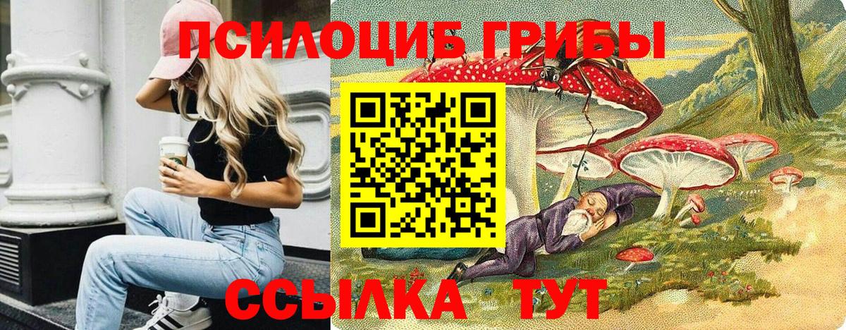 Псилоцибиновые грибы Psilocybe Благовещенск